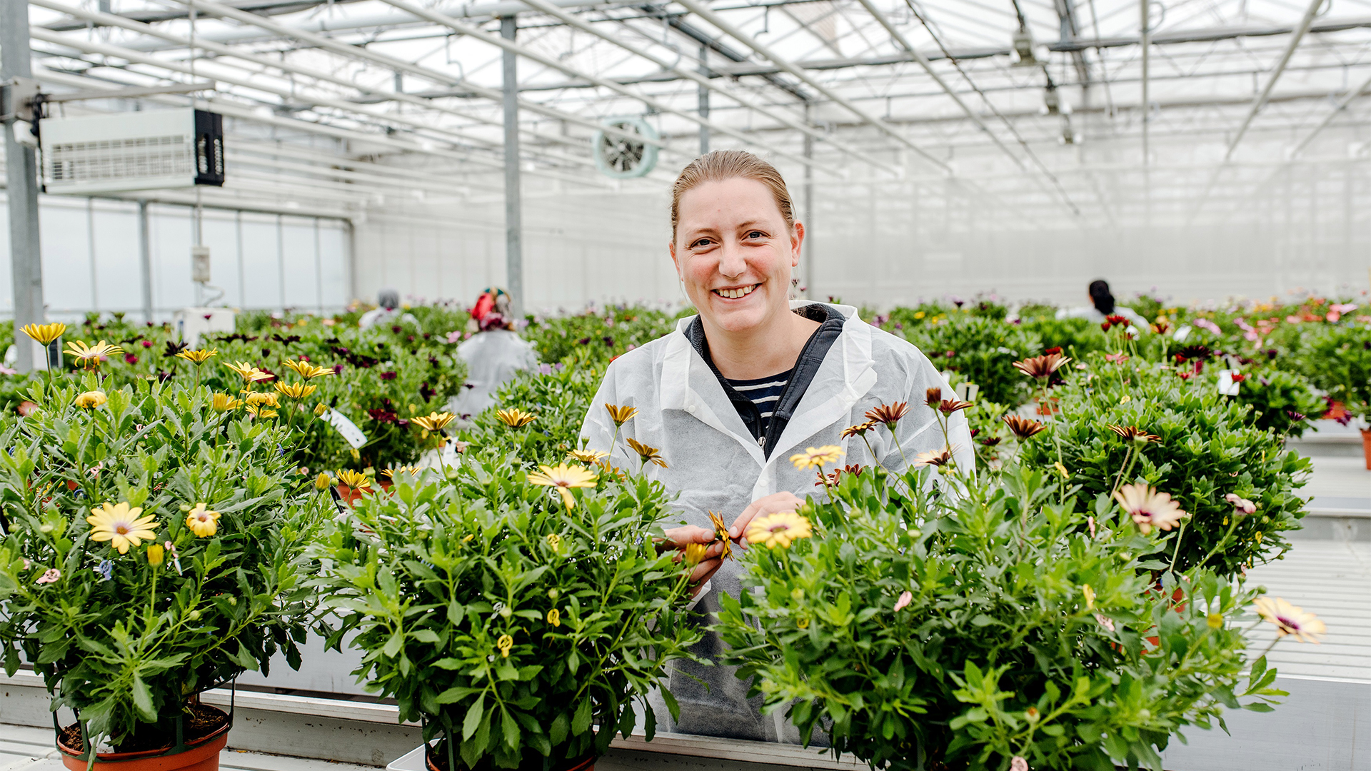 Vrouw in plantenkwekerij aan het werk