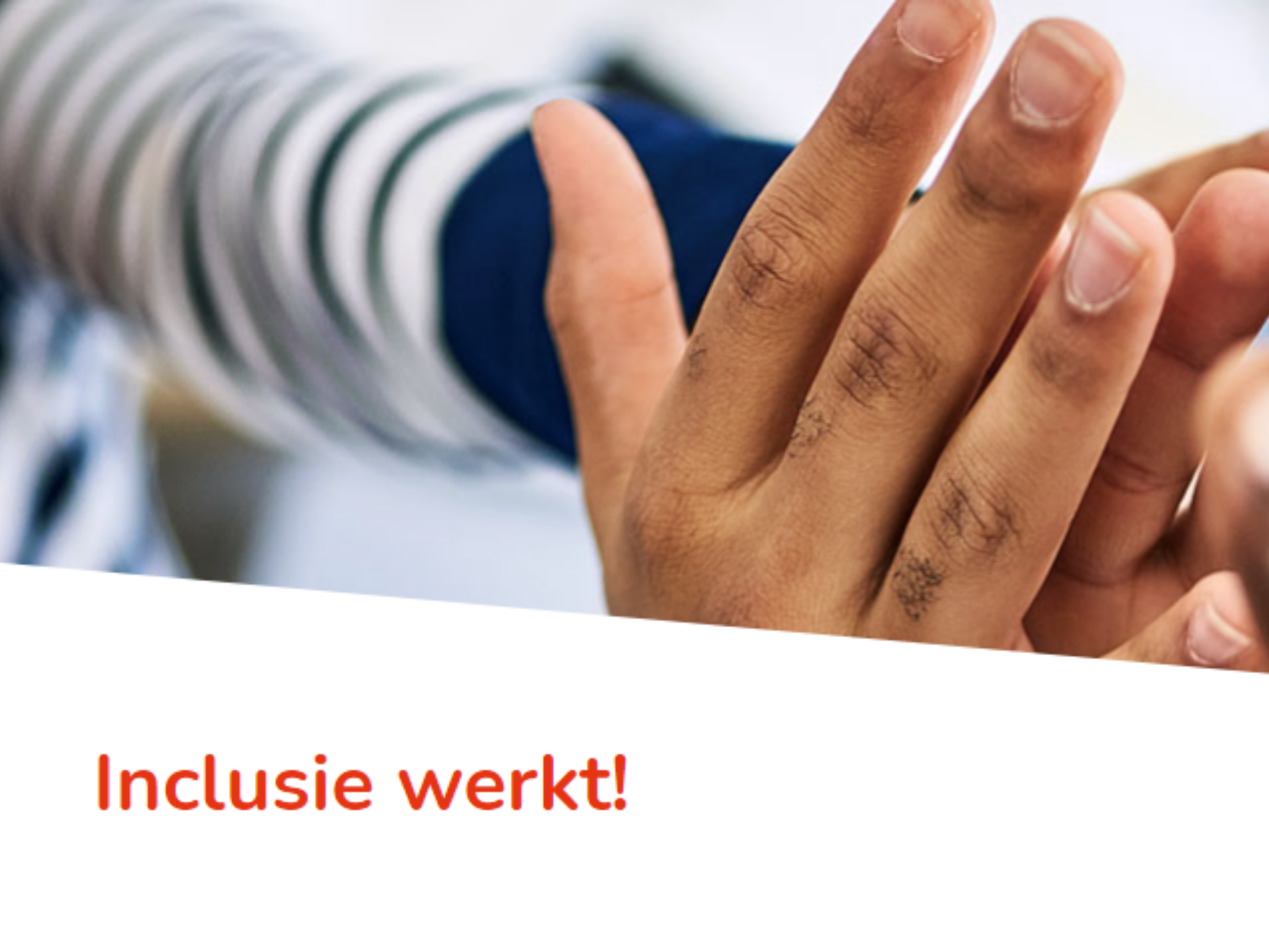 23 November 'Inclusie Werkt' | SER Diversiteit In Bedrijf