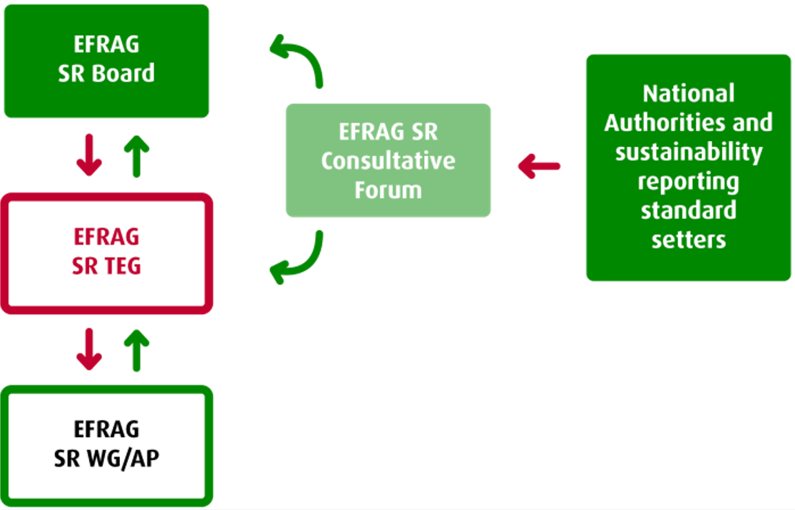 Schematische weergave van de besluitvorming binnen EFRAG