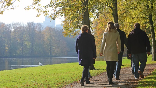 Lunchwandeling in het Haagse Bos. 