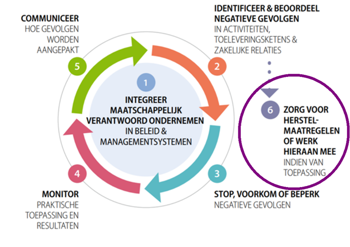 Due diligence (gepaste zorgvuldigheid) volgens de OESO-richtlijnen - stap 6